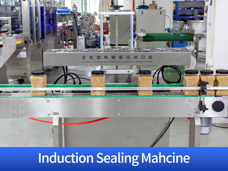 Fully Automatic Plastic Bottle Jar Granule Filling Capping Labeling Machine Line