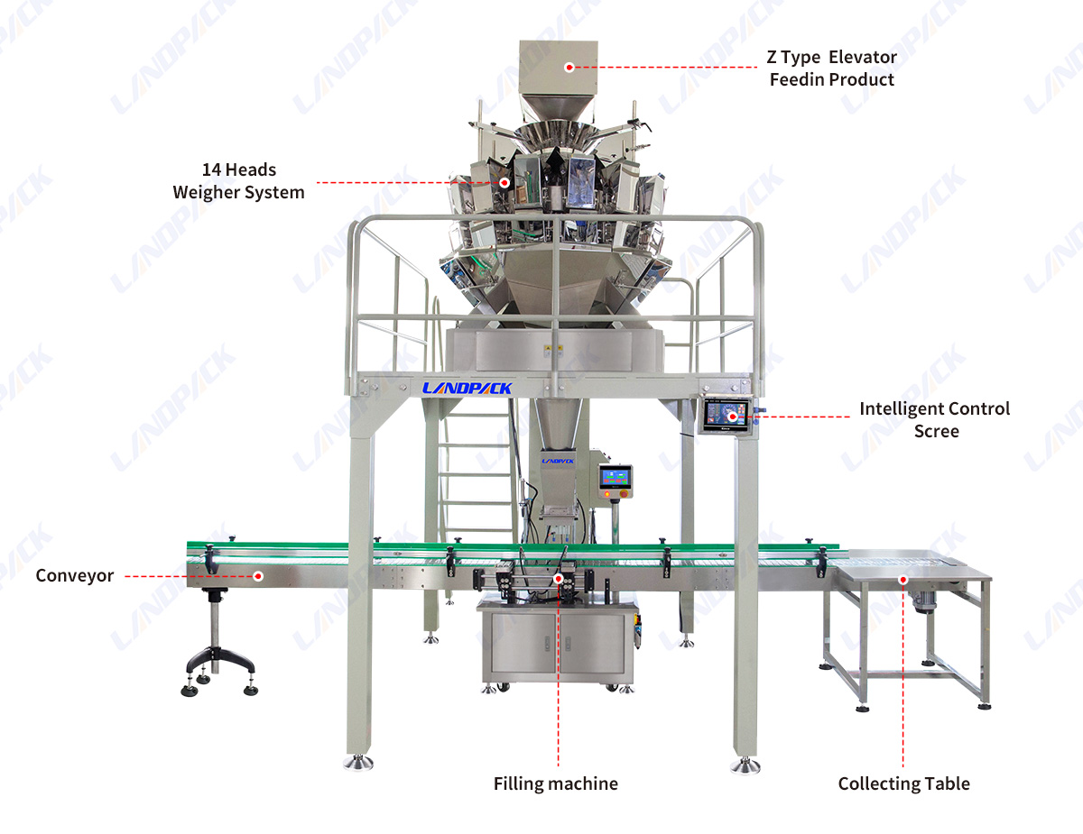 Automatic Hardware Carton Boxing Machine For Fastener Screw Nut Bolt Nail