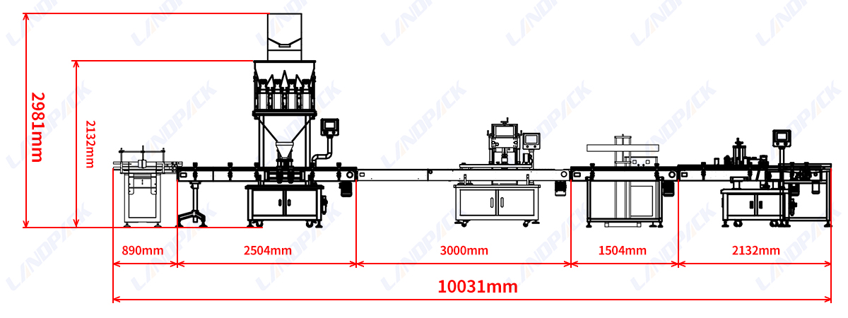 Automatic 4 Heads Dry Fruit Dry Food Bottles Weighing Filling Capping Machine Line