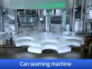 cashew tin filling machine