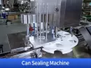 automatic pickle filling machine