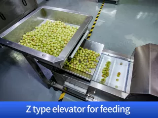 z type elevator for feeding