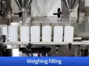 dry powder filling machine