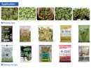 cannabis packaging equipment