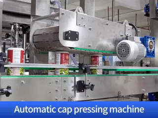 1 kg salt packing machine