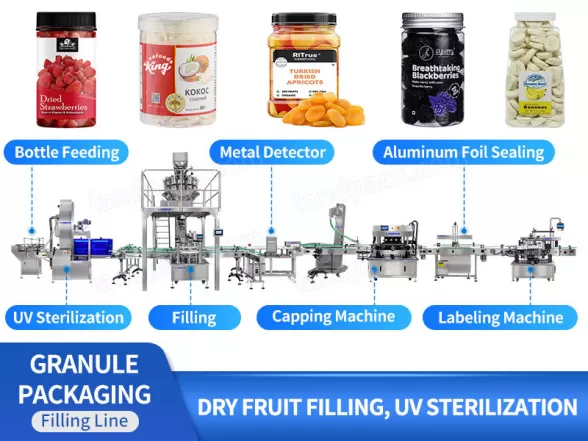 dry fruit packing machine