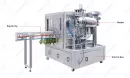 spout pouch filling capping machine