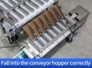 multi lane packing machine