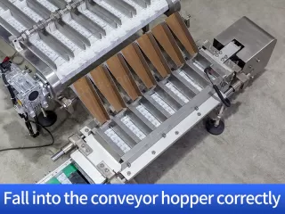 multi lane packing machine