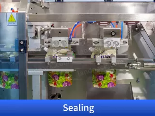 sauce packet packing machine