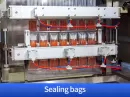 sauce packet packing machine