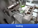 powder filling machine