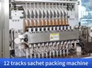 automatic granule packaging machine