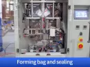 screw packing machine