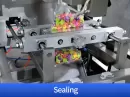 automatic candy wrapping machine