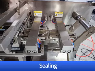 automatic beef jerky packaging machine