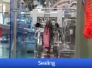 standing pouch packaging machine